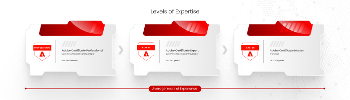 Magento certifications - level of expertise