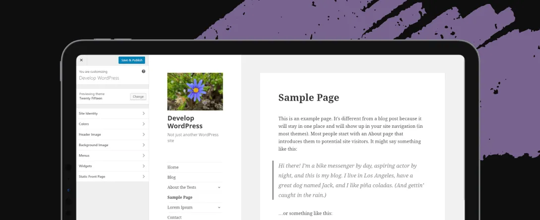 Custom WordPress Development