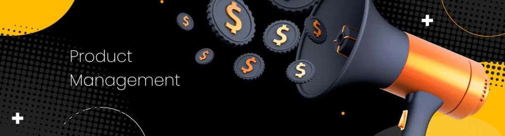 offshore development team