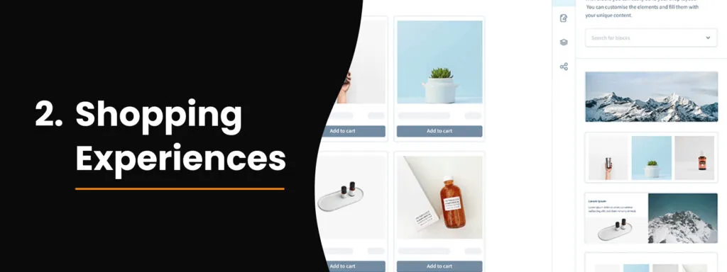 Shopping Experiences