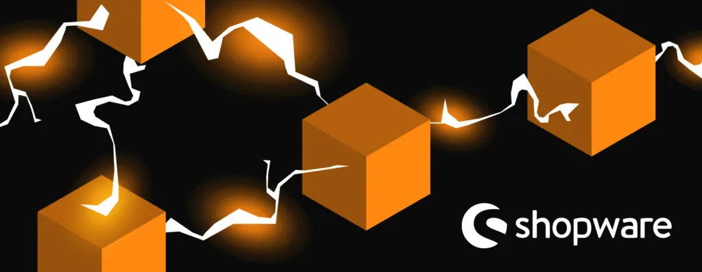 How Shopware 6 Works