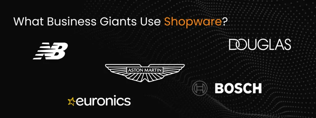 Shopware Cases