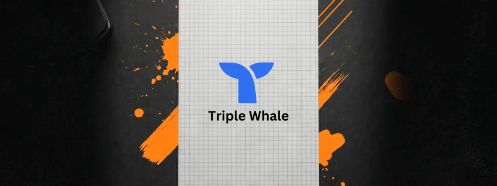 Best for Analytics: Triple Whale
